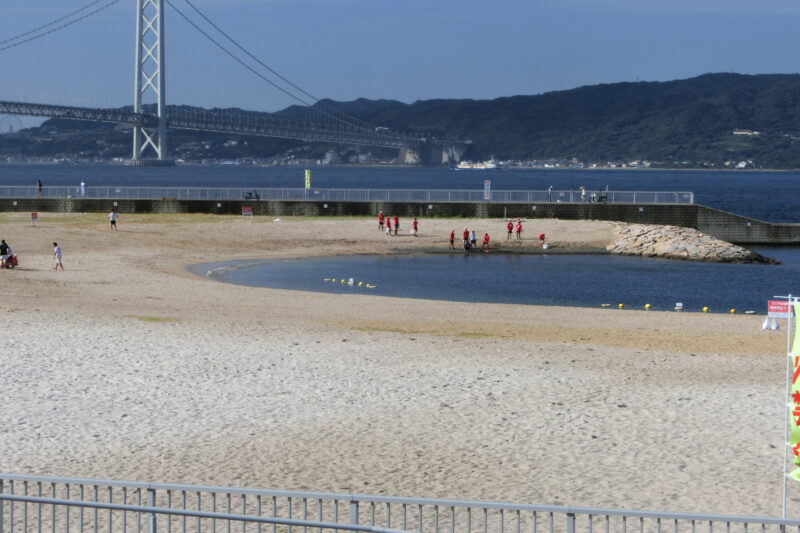 大蔵海岸にて清掃活動